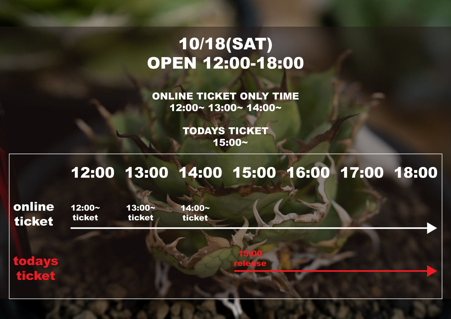 BOTANICAL BOTANICAL TOKYO online ticket