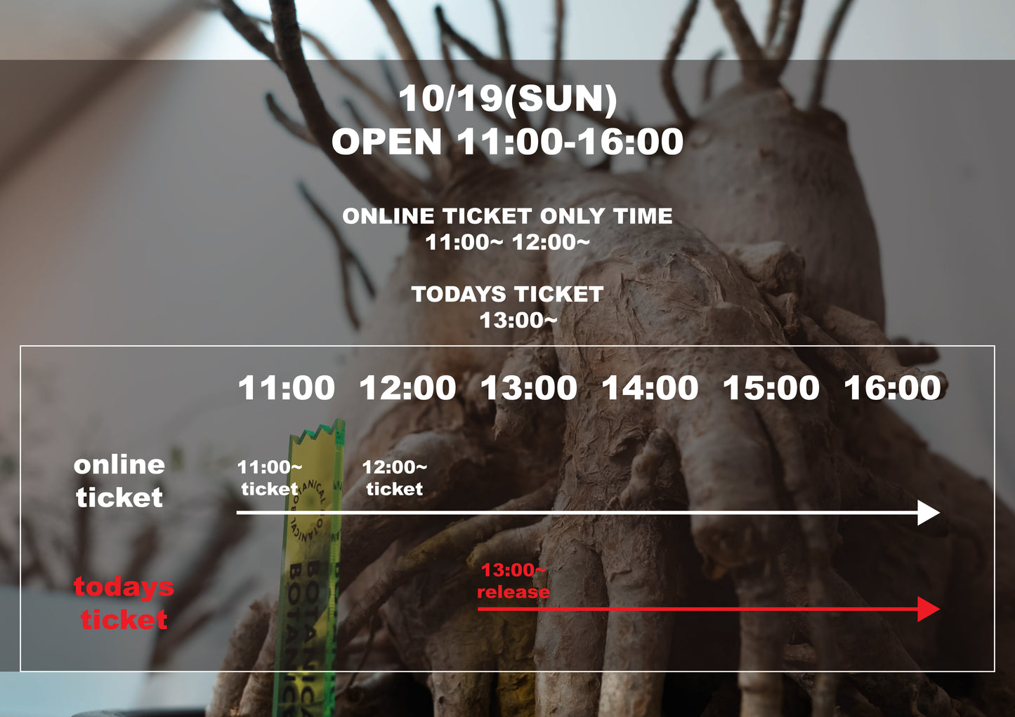 BOTANICAL BOTANICAL TOKYO online ticket