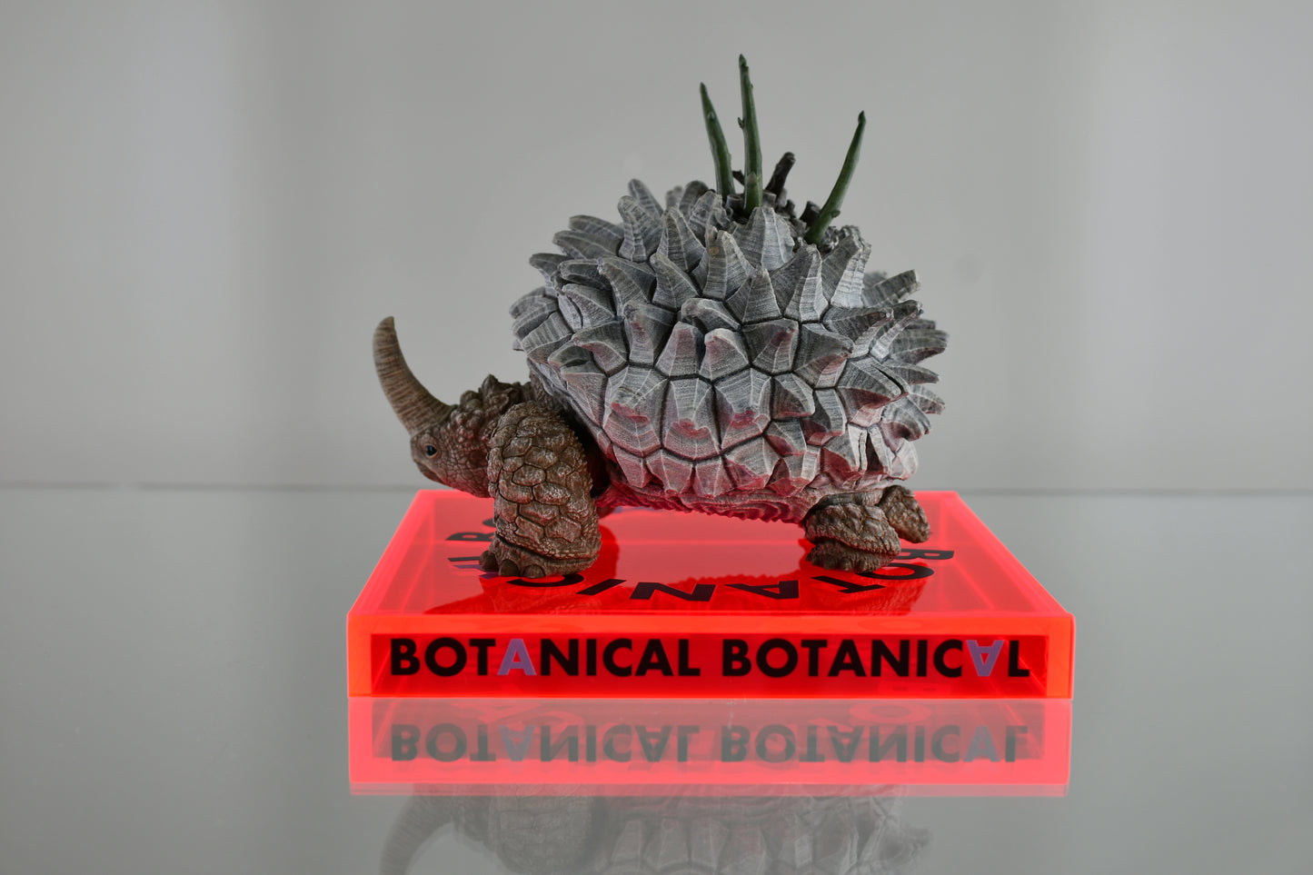 BOTANICAL BOTANICAL STAND
