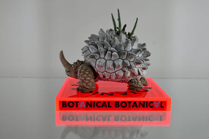 BOTANICAL BOTANICAL STAND