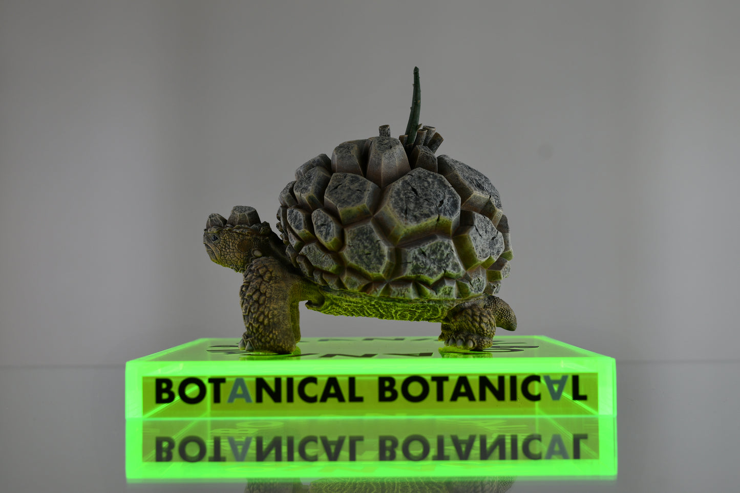BOTANICAL BOTANICAL STAND