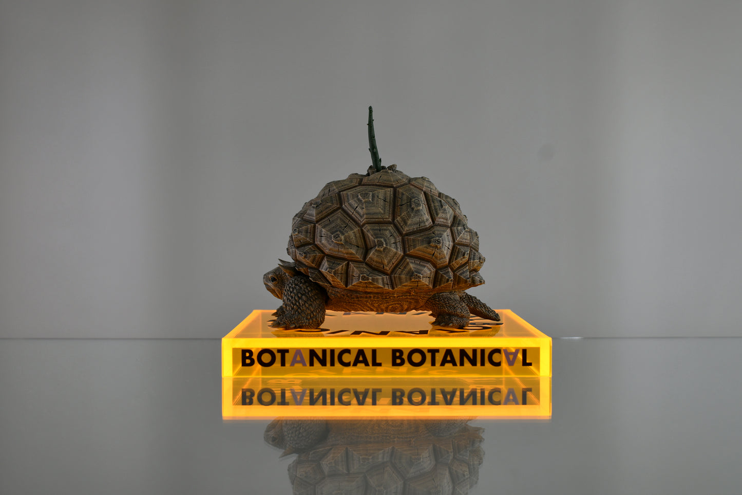 BOTANICAL BOTANICAL STAND