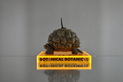 BOTANICAL BOTANICAL STAND