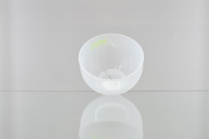 5PM TWCAUDEX プラスチックポット TYPE A Mサイズ