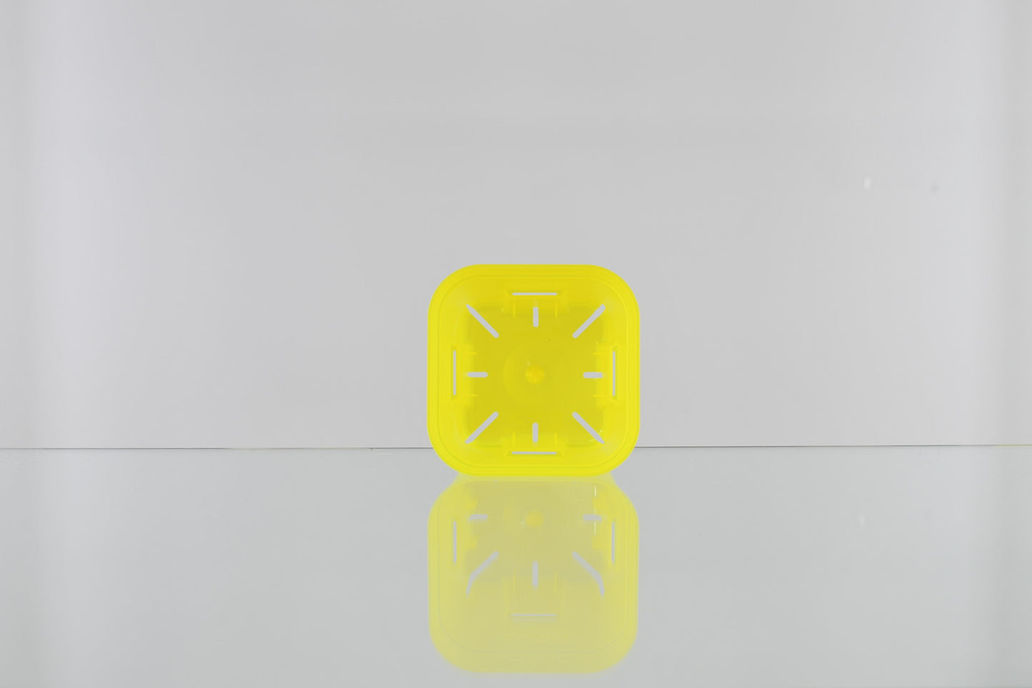 プレステラ105 5個セット ver.BOTANICAL BOTANICAL