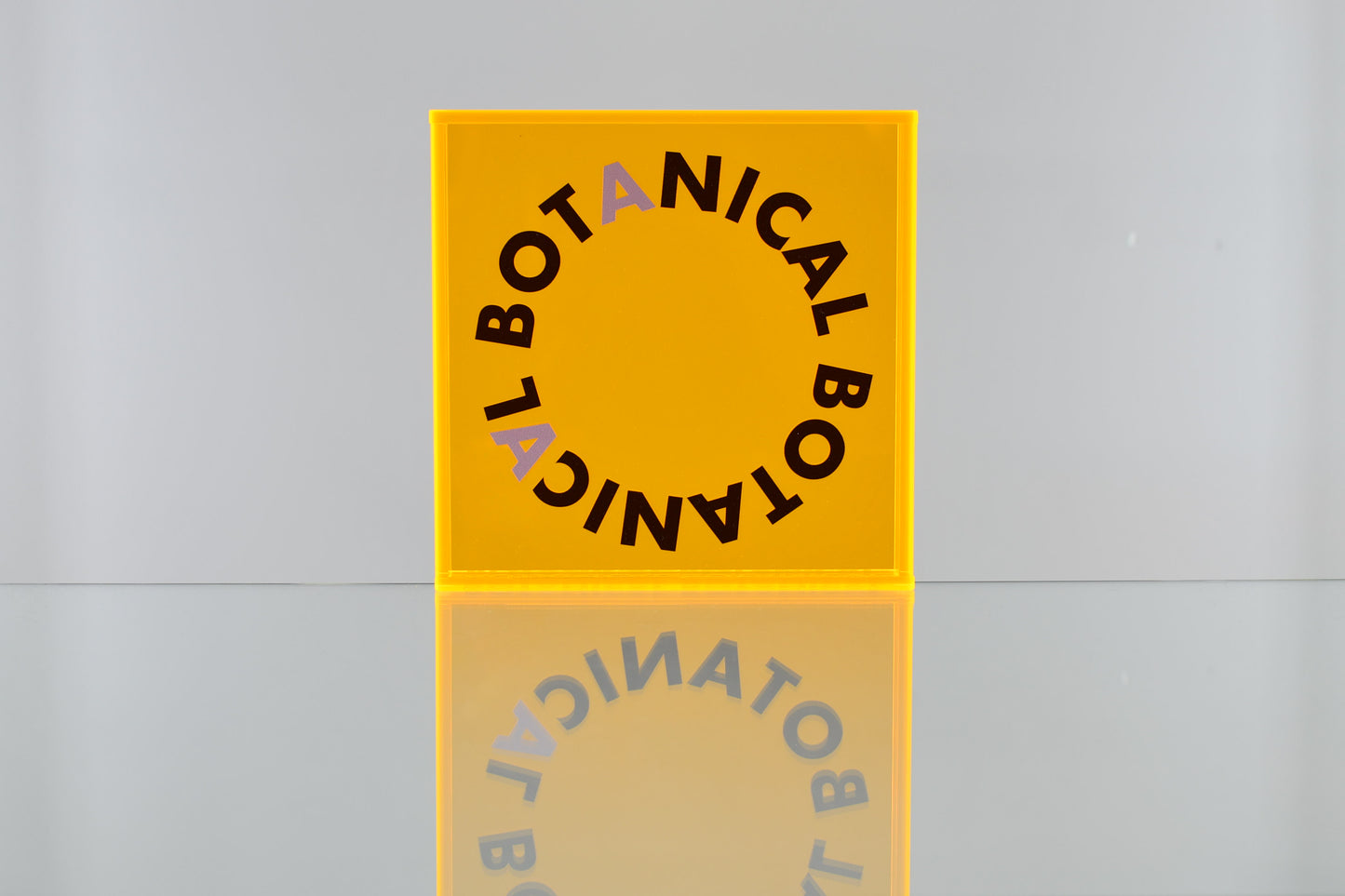 BOTANICAL BOTANICAL STAND